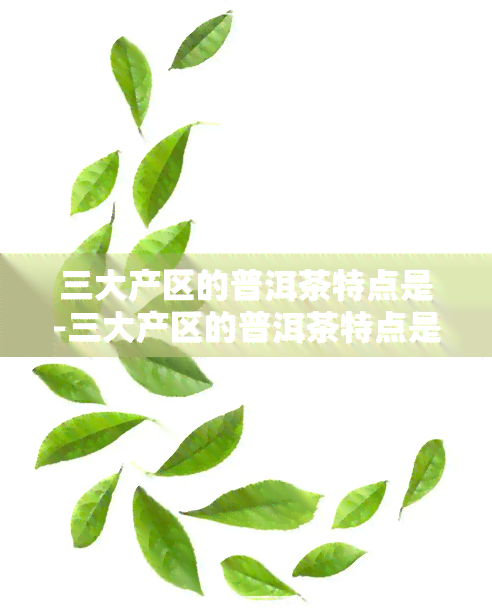 三大产区的普洱茶特点是-三大产区的普洱茶特点是什么