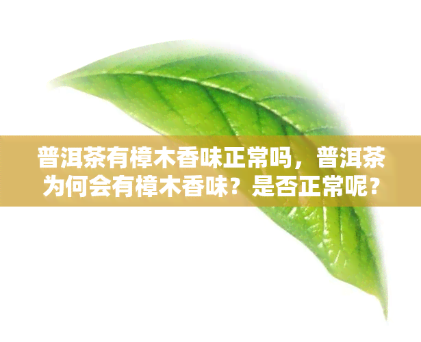 普洱茶有樟木香味正常吗，普洱茶为何会有樟木香味？是否正常呢？