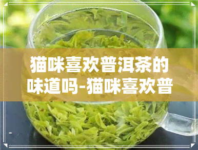 猫咪喜欢普洱茶的味道吗-猫咪喜欢普洱茶的味道吗为什么