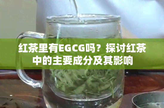 红茶里有EGCG吗？探讨红茶中的主要成分及其影响