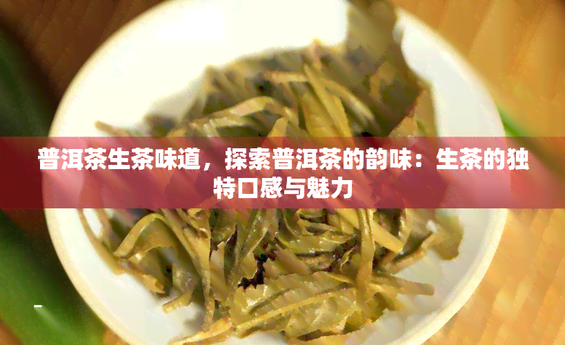 普洱茶生茶味道，探索普洱茶的韵味：生茶的独特口感与魅力