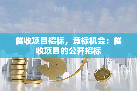 项目招标，竞标机会：项目的公开招标