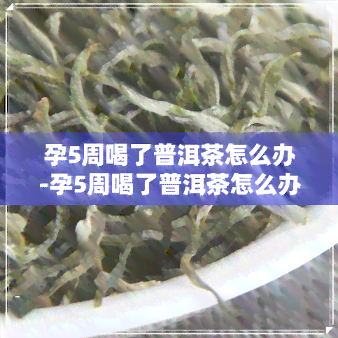 孕5周喝了普洱茶怎么办-孕5周喝了普洱茶怎么办呢