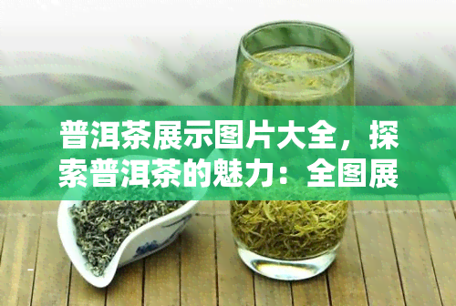 普洱茶展示图片大全，探索普洱茶的魅力：全图展示各式精品普洱茶！