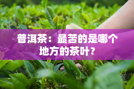 普洱茶：最苦的是哪个地方的茶叶？