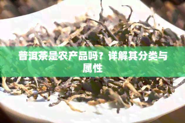 普洱茶是农产品吗？详解其分类与属性