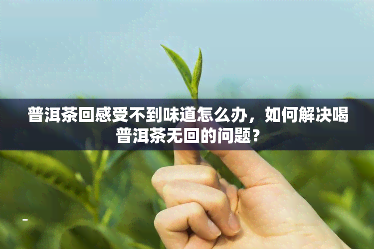 普洱茶回感受不到味道怎么办，如何解决喝普洱茶无回的问题？