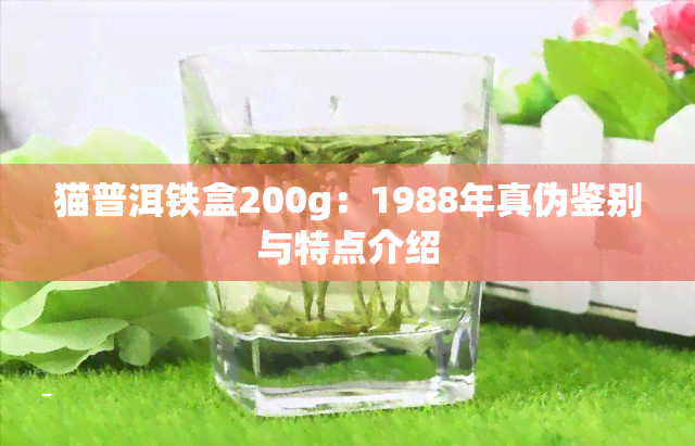 猫普洱铁盒200g：1988年真伪鉴别与特点介绍