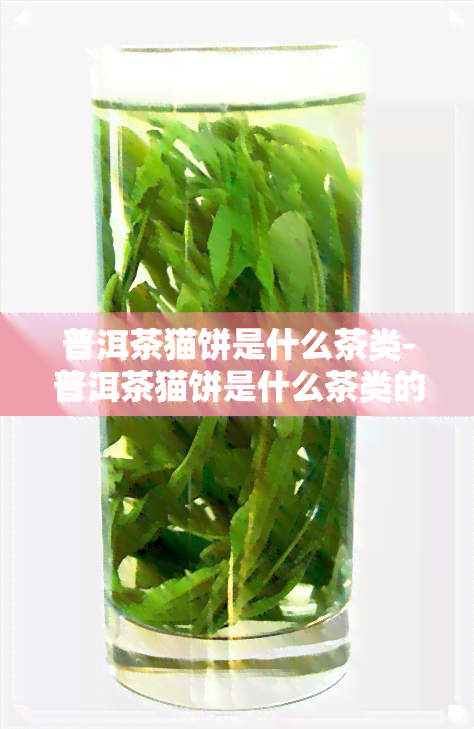 普洱茶猫饼是什么茶类-普洱茶猫饼是什么茶类的