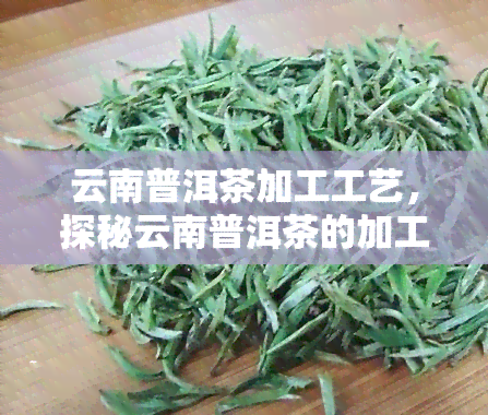 云南普洱茶加工工艺，探秘云南普洱茶的加工工艺：从叶到成品的独特历程