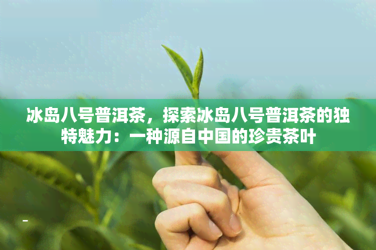 冰岛八号普洱茶，探索冰岛八号普洱茶的独特魅力：一种源自中国的珍贵茶叶