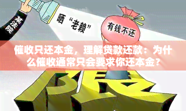 只还本金，理解贷款还款：为什么通常只会要求你还本金？