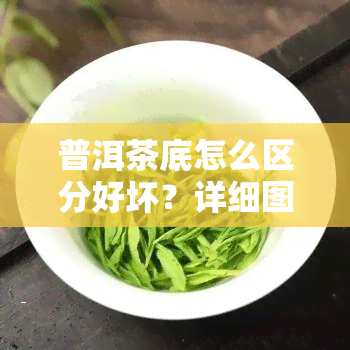 普洱茶底怎么区分好坏？详细图解教你识别优质茶底