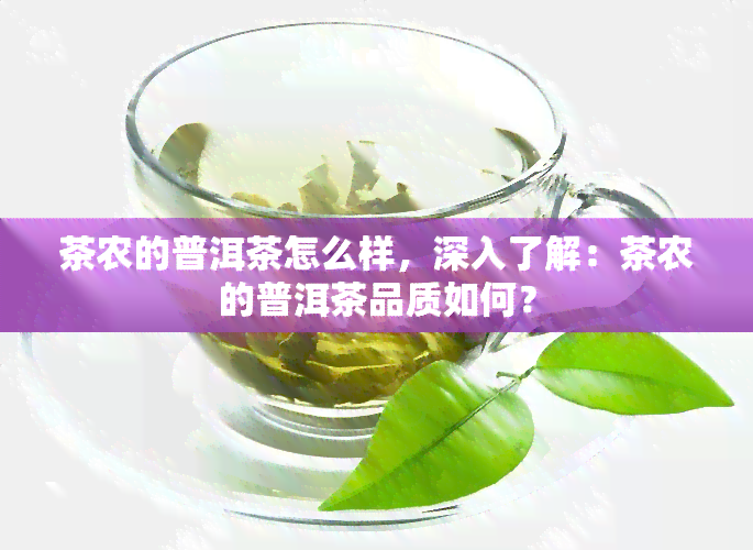 茶农的普洱茶怎么样，深入了解：茶农的普洱茶品质如何？