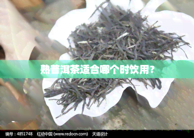 熟普洱茶适合哪个时饮用？