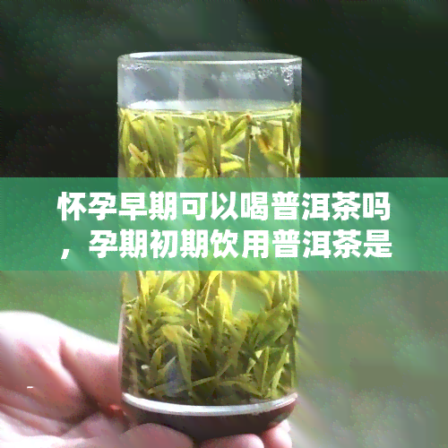 怀孕早期可以喝普洱茶吗，孕期初期饮用普洱茶是否适宜？专家解读早孕妈饮品选择