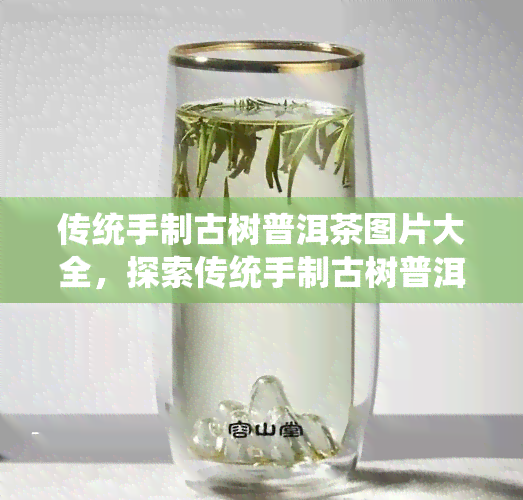 传统手制古树普洱茶图片大全，探索传统手制古树普洱茶的魅力：图片大全