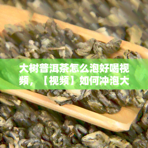 大树普洱茶怎么泡好喝视频，【视频】如何冲泡大树普洱茶，让你品尝到口感！