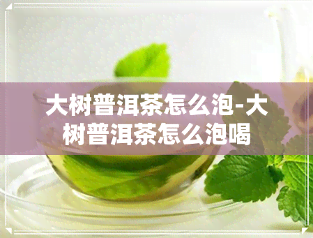 大树普洱茶怎么泡-大树普洱茶怎么泡喝