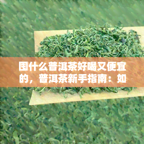 囤什么普洱茶好喝又便宜的，普洱茶新手指南：如何购买到好喝又便宜的茶叶？