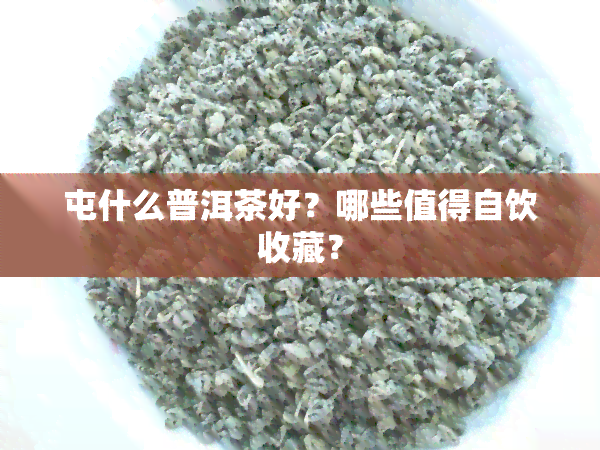 屯什么普洱茶好？哪些值得自饮收藏？