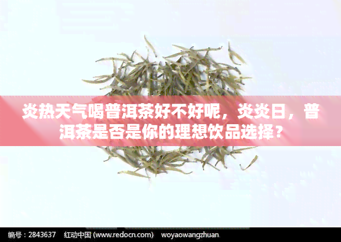 炎热天气喝普洱茶好不好呢，炎炎日，普洱茶是否是你的理想饮品选择？