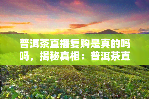 普洱茶直播复购是真的吗吗，揭秘真相：普洱茶直播复购是否真实可信？