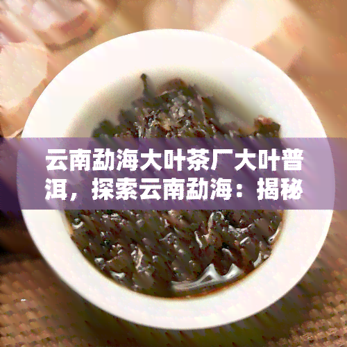 云南勐海大叶茶厂大叶普洱，探索云南勐海：揭秘大叶普洱的制作过程与独特魅力