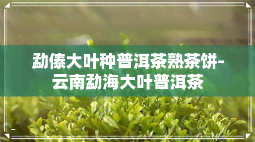 勐傣大叶种普洱茶熟茶饼-云南勐海大叶普洱茶