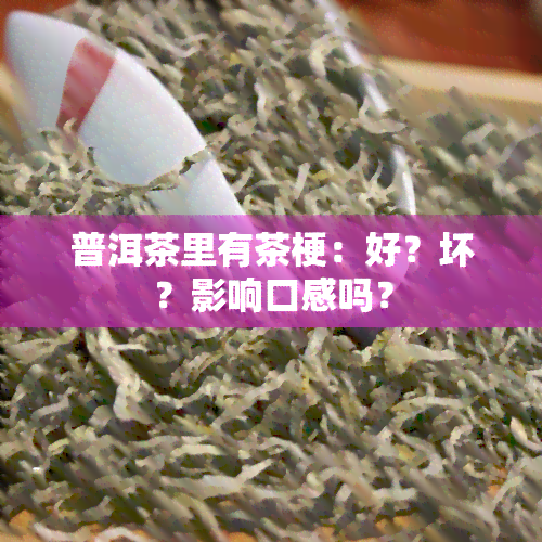 普洱茶里有茶梗：好？坏？影响口感吗？