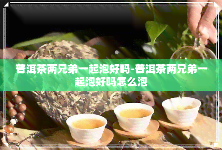 普洱茶两兄弟一起泡好吗-普洱茶两兄弟一起泡好吗怎么泡