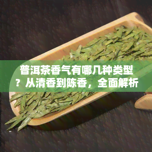 普洱茶香气有哪几种类型？从清香到陈香，全面解析普洱茶香气的特点与分类