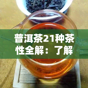 普洱茶21种茶性全解：了解普洱茶类型、常见茶型与性质