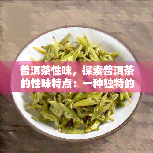 普洱茶性味，探索普洱茶的性味特点：一种独特的茶叶体验