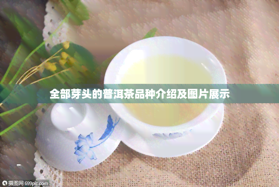 全部芽头的普洱茶品种介绍及图片展示