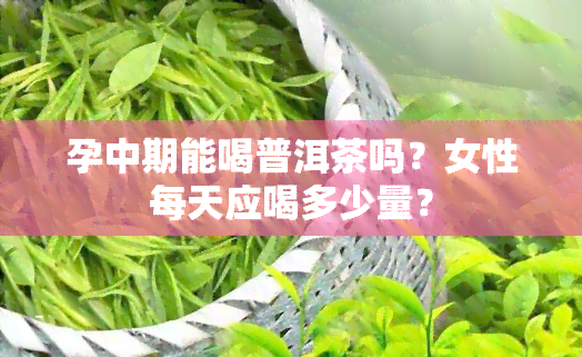 孕中期能喝普洱茶吗？女性每天应喝多少量？