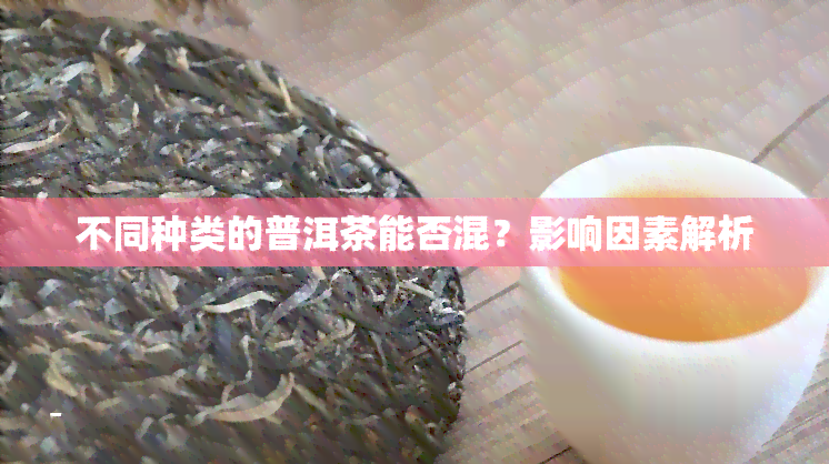 不同种类的普洱茶能否混？影响因素解析