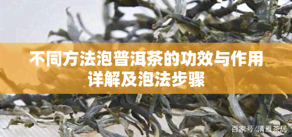 不同方法泡普洱茶的功效与作用详解及泡法步骤