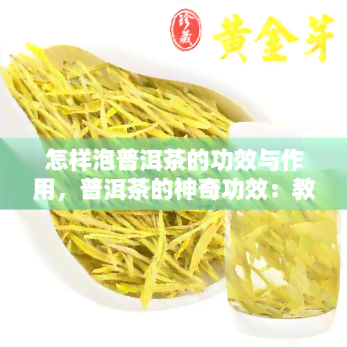 怎样泡普洱茶的功效与作用，普洱茶的神奇功效：教你如何正确冲泡