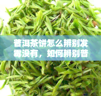 普洱茶饼怎么辨别发霉没有，如何辨别普洱茶饼是否发霉？