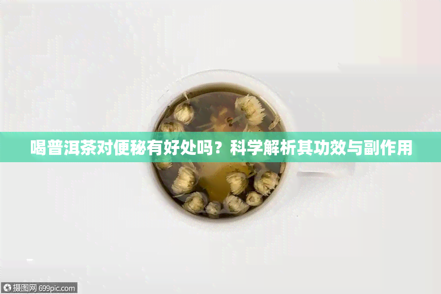 喝普洱茶对便秘有好处吗？科学解析其功效与副作用