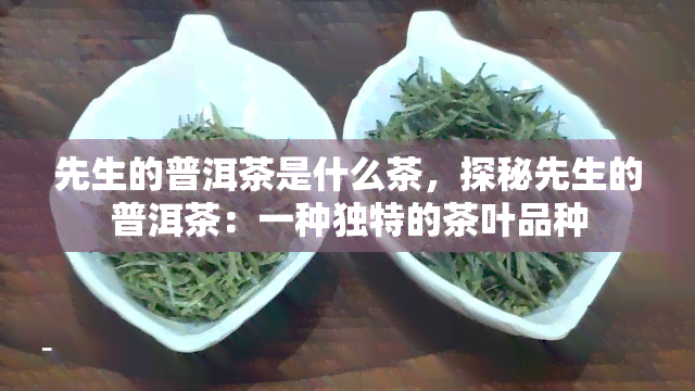 先生的普洱茶是什么茶，探秘先生的普洱茶：一种独特的茶叶品种