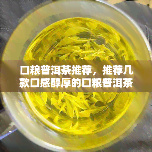 口粮普洱茶推荐，推荐几款口感醇厚的口粮普洱茶