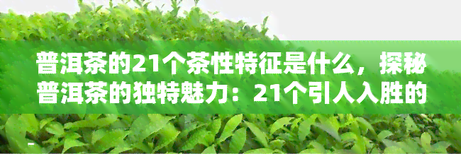 普洱茶的21个茶性特征是什么，探秘普洱茶的独特魅力：21个引人入胜的茶性特征