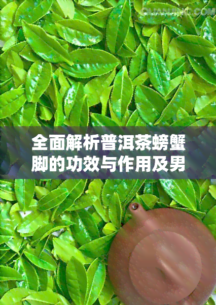 全面解析普洱茶螃蟹脚的功效与作用及男性性功能影响