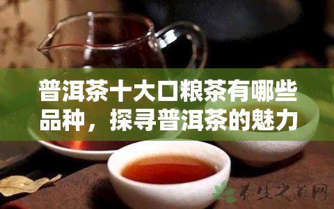 普洱茶十大口粮茶有哪些品种，探寻普洱茶的魅力：十大口粮茶品种推荐