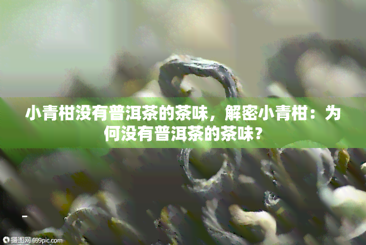 小青柑没有普洱茶的茶味，解密小青柑：为何没有普洱茶的茶味？