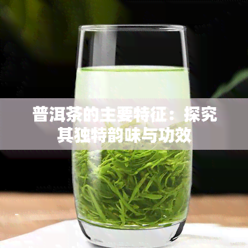 普洱茶的主要特征：探究其独特韵味与功效