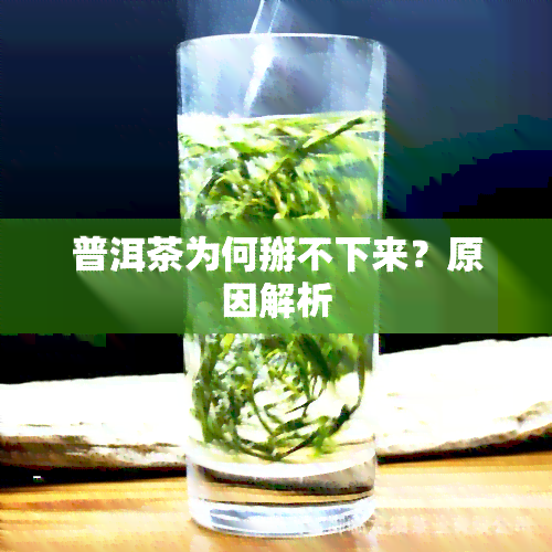 普洱茶为何掰不下来？原因解析