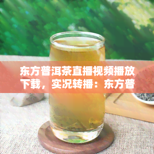 东方普洱茶直播视频播放下载，实况转播：东方普洱茶制作过程及品鉴分享，高清视频免费下载！